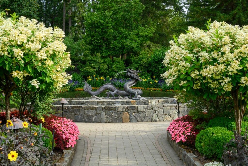 A stone pathway leads through a garden flanked by large, flowering shrubs that appear to be Hydrangea paniculata, featuring creamy white blooms. In the centre, a bronze dragon sculpture is positioned in front of a stone wall, surrounded by colourful flower beds with pink and yellow blooms. Lush green trees and plants provide a vibrant backdrop