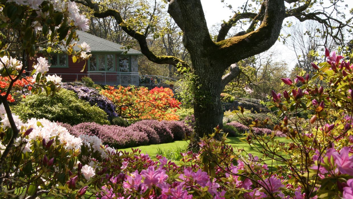 The garden seen from the summerhouse, looking across lawn and planted beds